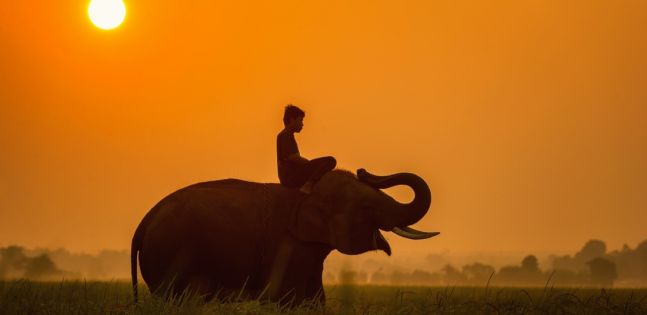 Тайланд - Банкок и Пукет - с Турски авиолинии