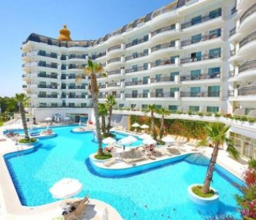 ASTERIA BLOOM SIDE (EX.SELECTUM FOR TWO SIDE)